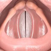 1507911909-2368074699_q