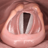 1507911912-4259842064_q