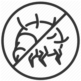 dust-mites_3-512.png